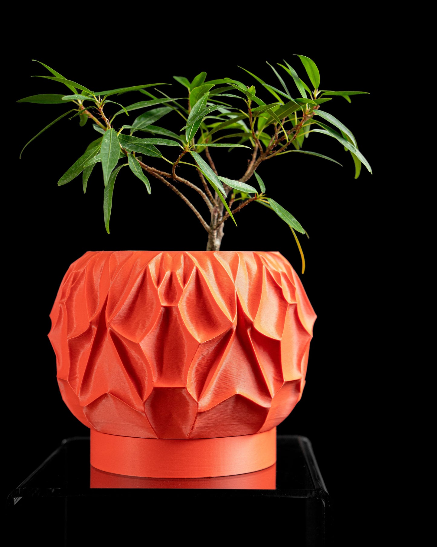 Succulent Planter, Minimalist Pot, Modern Indoor Desk Elegant Shelf Display, White