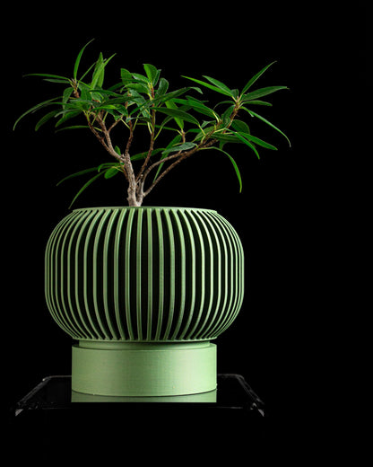 Modern Geometric Planter Pot, Contemporary Stylish Sculptural Succulent Friendly Organizer, Japandi Style Herb Container