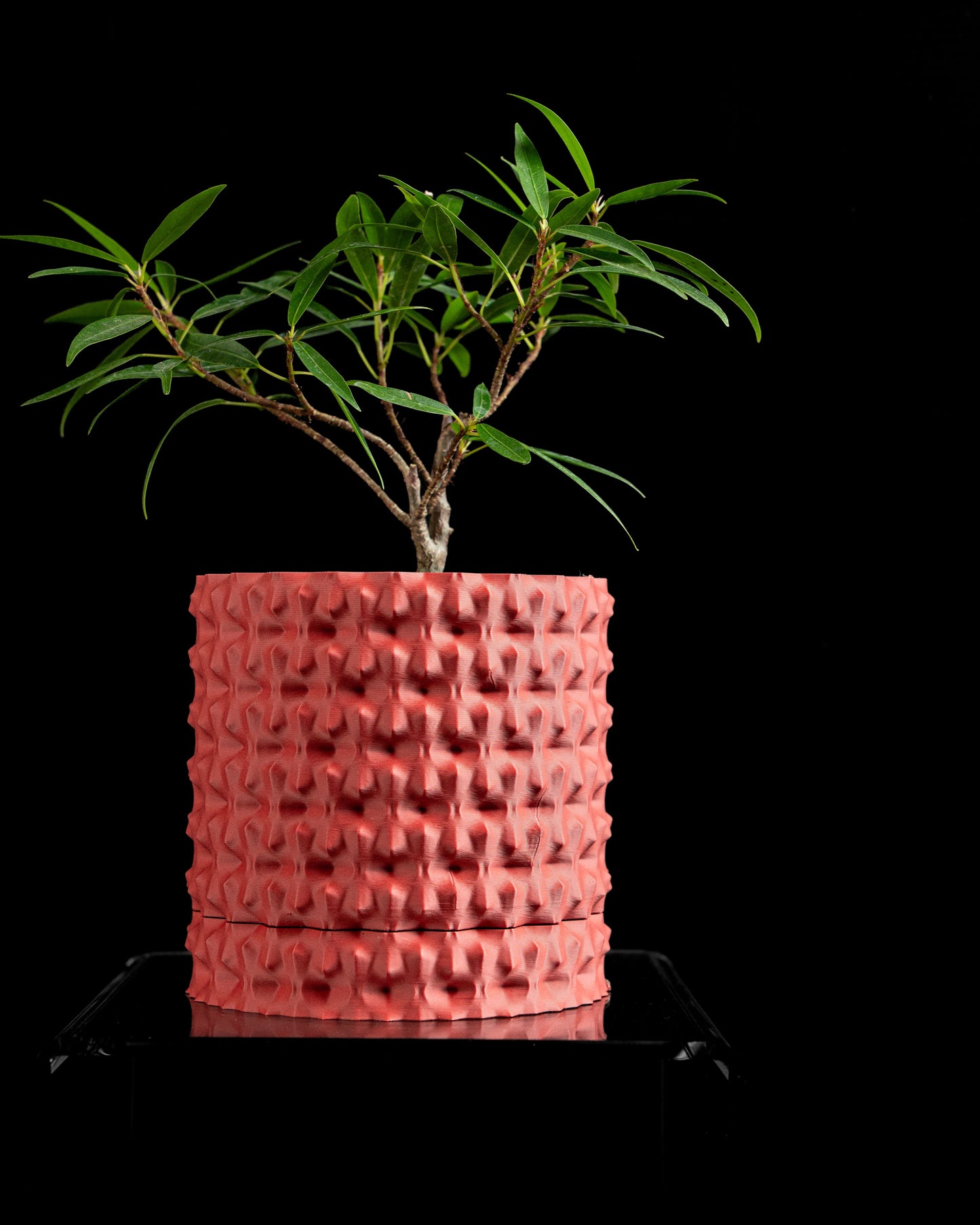 Japandi Style Planter Pot, Sculptural Textured Succulent Holder, Geometric Houseplant Desk Organizer, Minimalist Decor