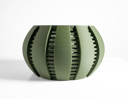 Orchid Planter, Airy Root View Container, Indoor Display, Windowsill Shelf Accent, Dining Table Decor