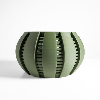 Orchid Planter, Airy Root View Container, Indoor Display, Windowsill Shelf Accent, Dining Table Decor