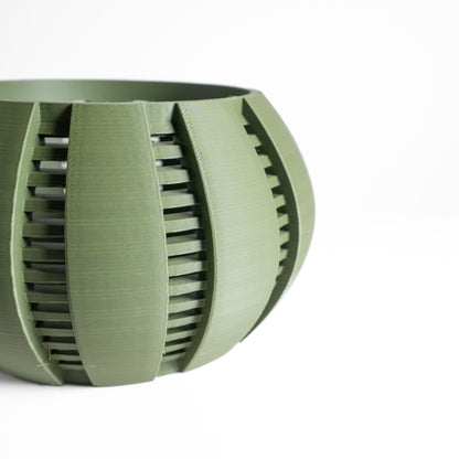 Orchid Planter, Airy Root View Container, Indoor Display, Windowsill Shelf Accent, Dining Table Decor