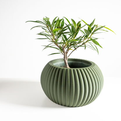 Succulent Planter, Indoor Herb Organizer, Minimalist Accent, Nordic Modern Style