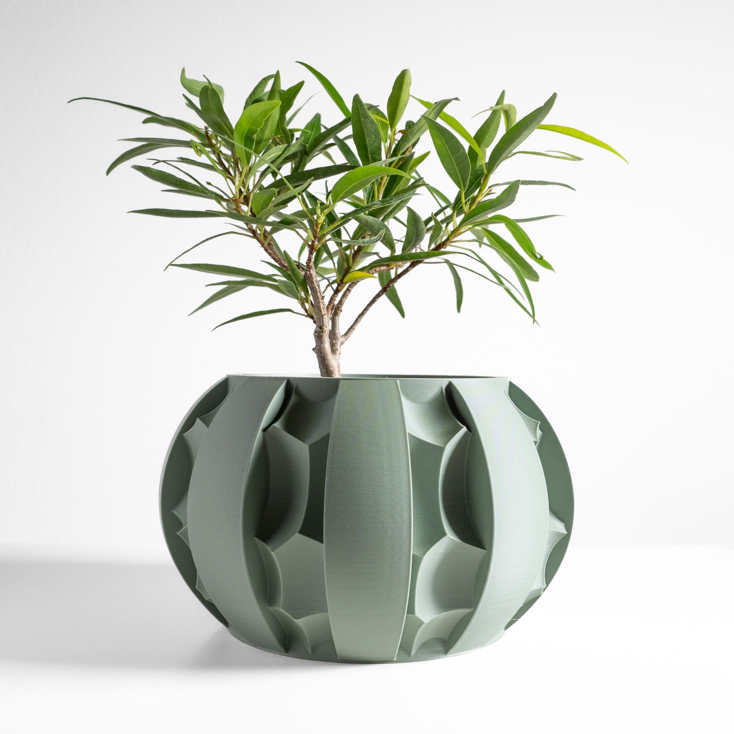 Artistic Planter Pot, Compact Home Indoor Container, Succulent and Herbal Holder, Sustainable Decor