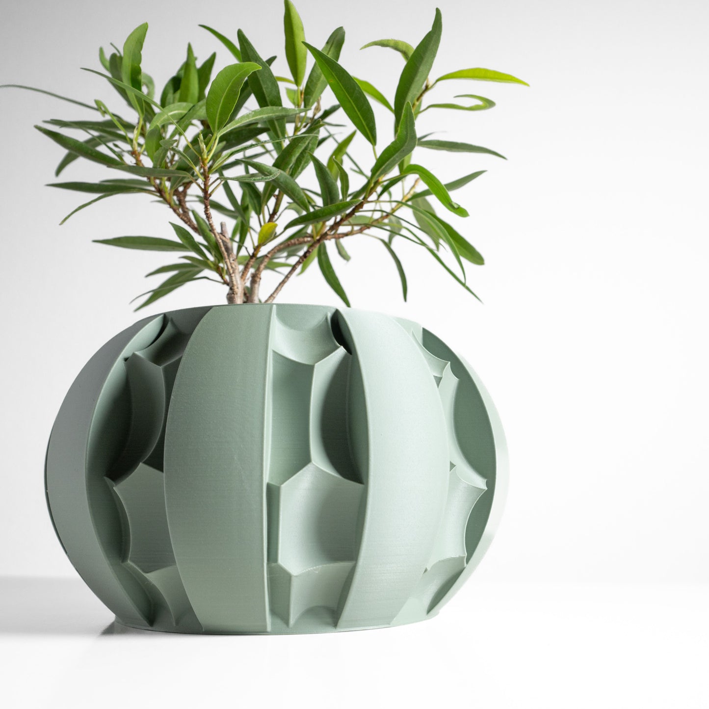 Artistic Planter Pot, Compact Home Indoor Container, Succulent and Herbal Holder, Sustainable Decor