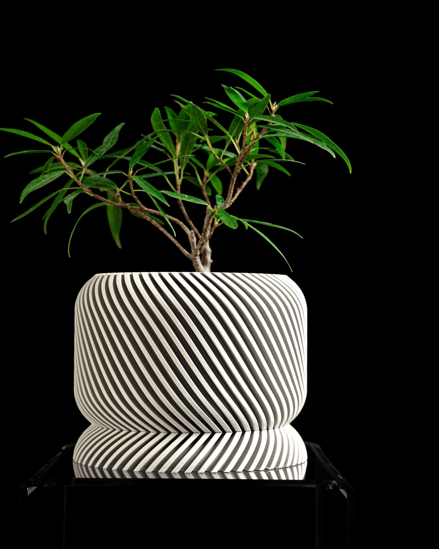 Unique Strict Geometry Planter Pot, Original Slanted Indoor Holder, Succulent Desk Organizer, Modern Style