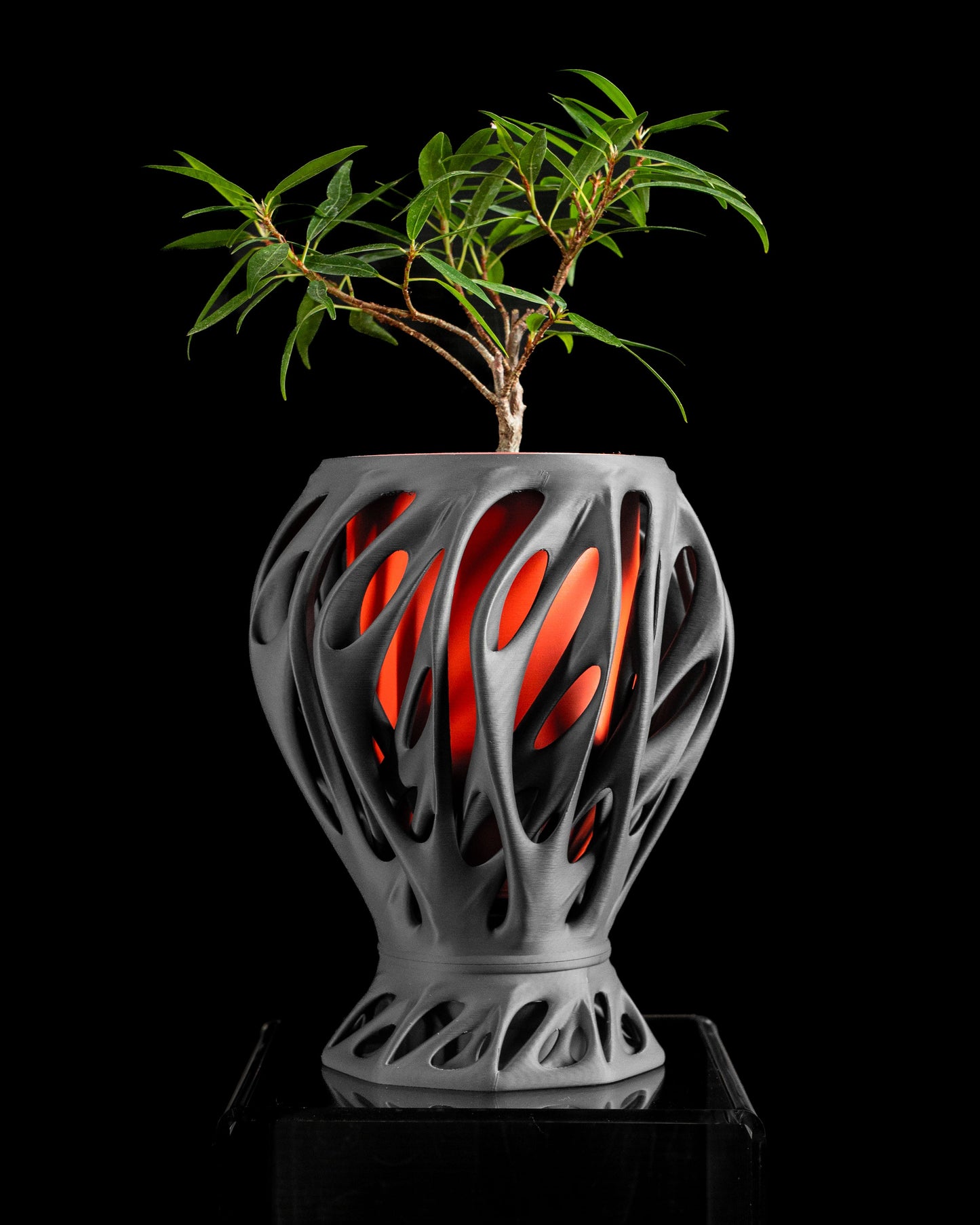 Planter Pot, Contemporary Sculptural Indoor Succulent Holder Desk Herb Organizer