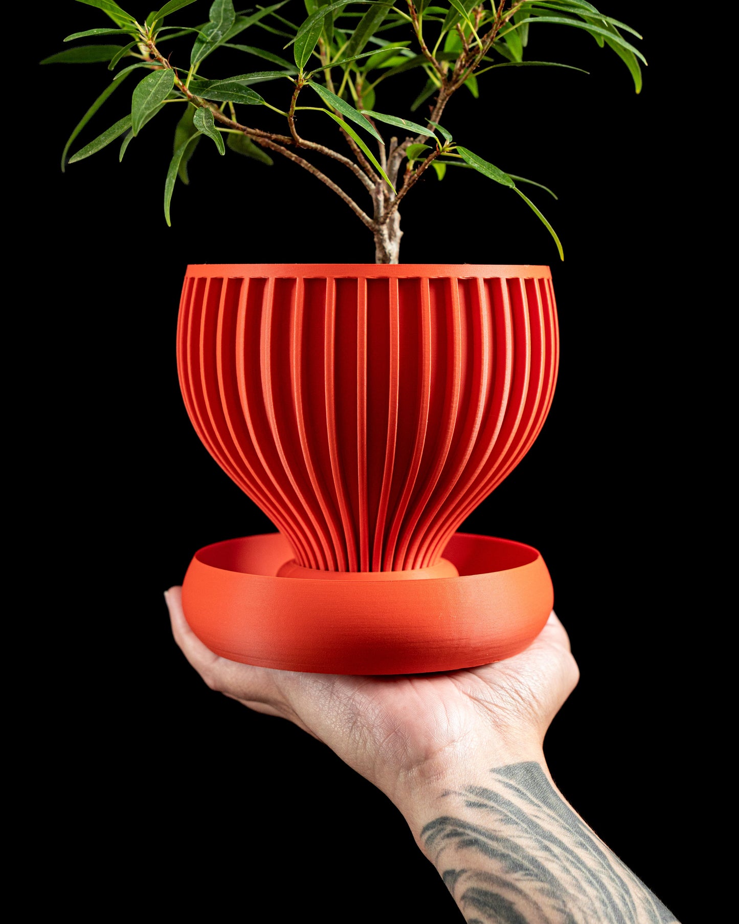 Planter Pot, Geometric Contemporary Succulent Holder, Plant Decor, Herb Container, Decorative Vessel