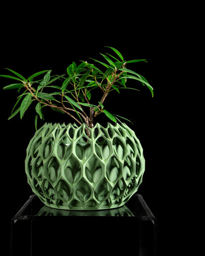 succulent planter, sculptural geometric fractal pot, indoor desk herb organizer.