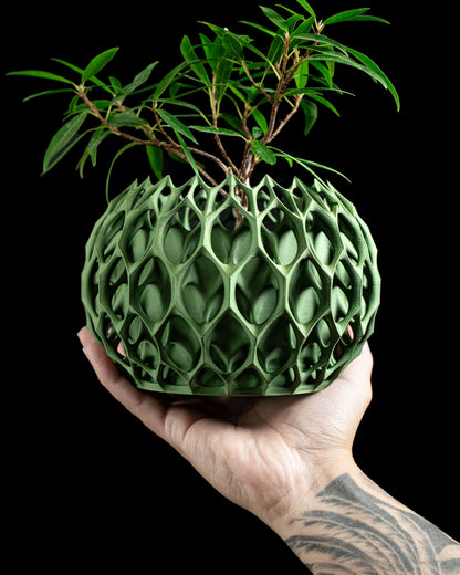 succulent planter, sculptural geometric fractal pot, indoor desk herb organizer.