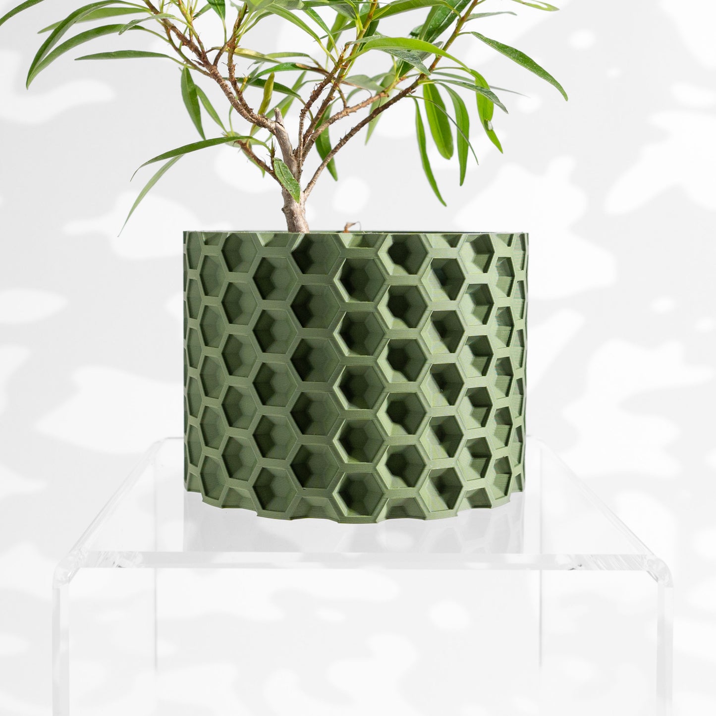 indoor planter geometric sculptural architectural, modern desk succulent organizer