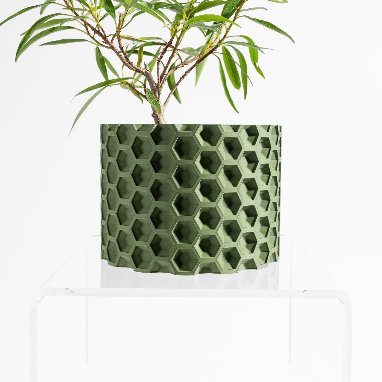 indoor planter geometric sculptural architectural, modern desk succulent organizer