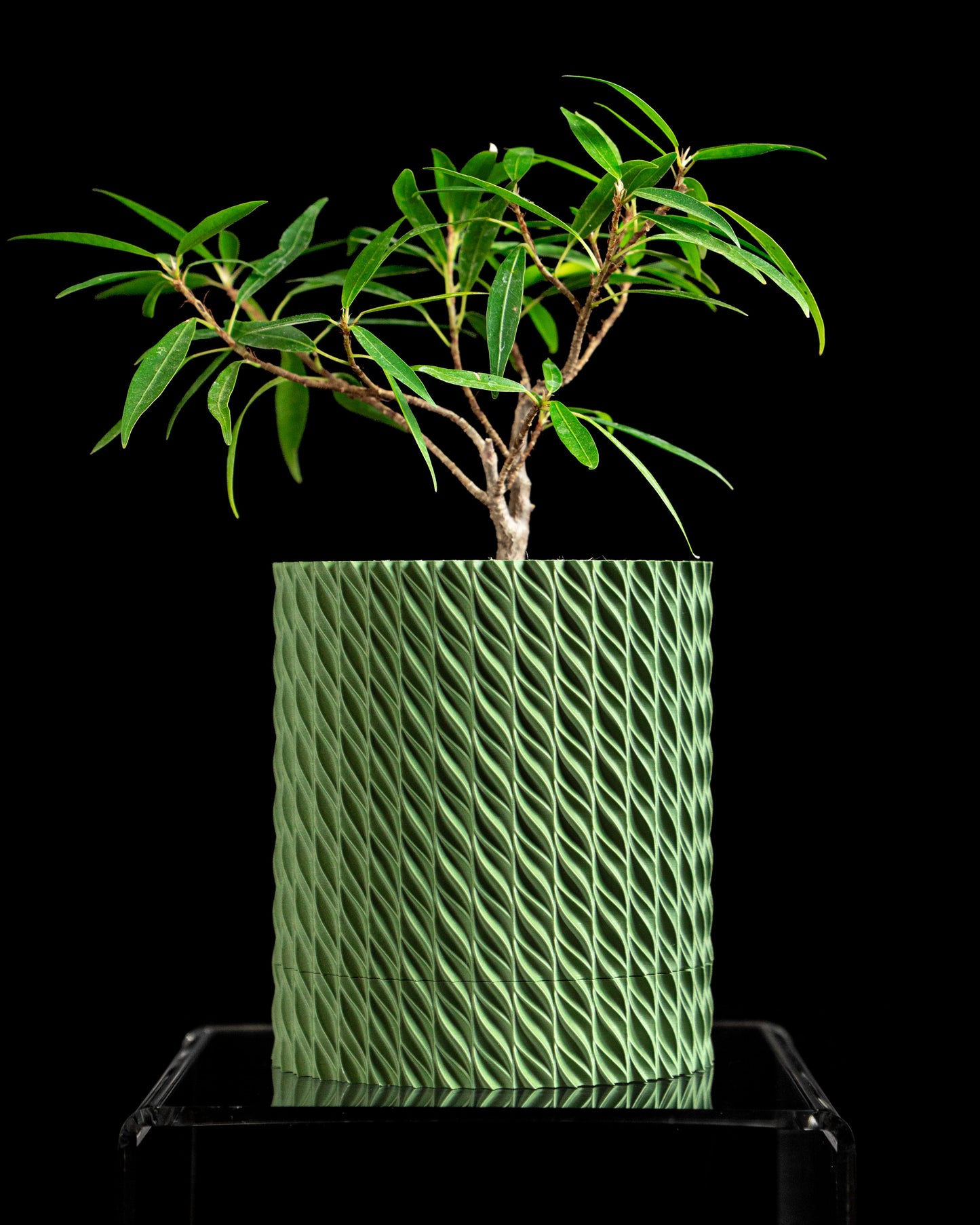 Indoor Planter, Geometric Succulent Pot, Herb Holder, Organizer, Contemporary Decor