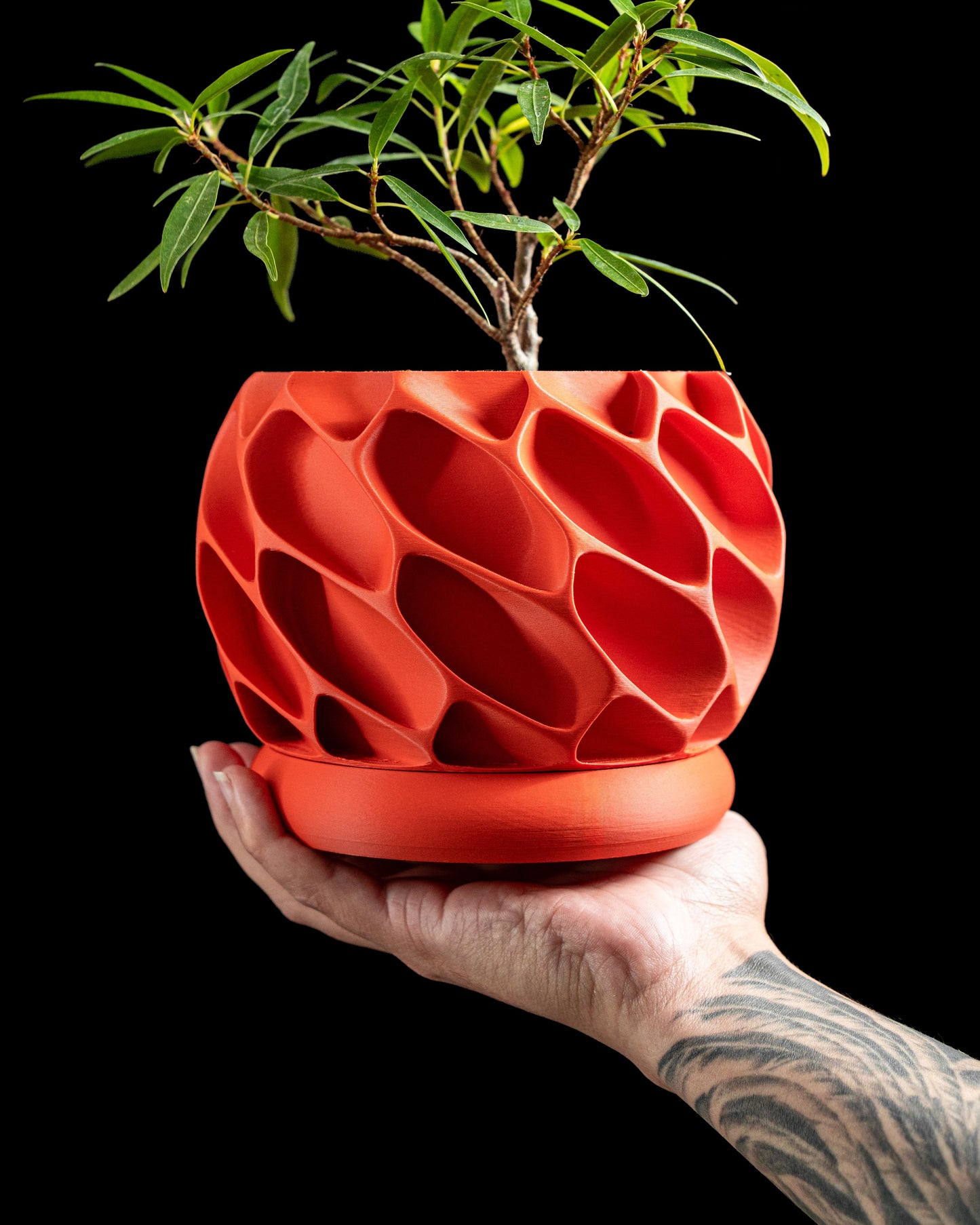 Planter Pot, Indoor Plant Holder, Succulent Planter, Contemporary Desk Organizer, Modern Shelf Decor