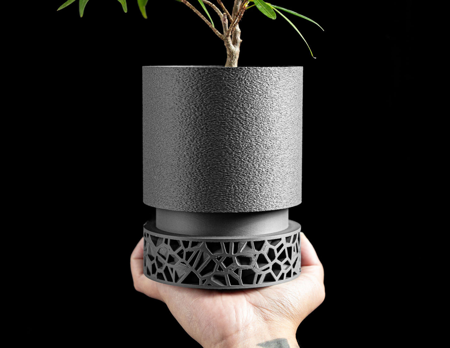 planter pot, sculpturally succulent organizer, elegantly matte desktop decor accent
