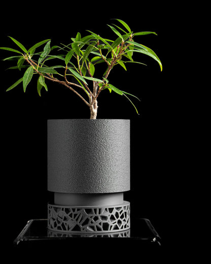 planter pot, sculpturally succulent organizer, elegantly matte desktop decor accent