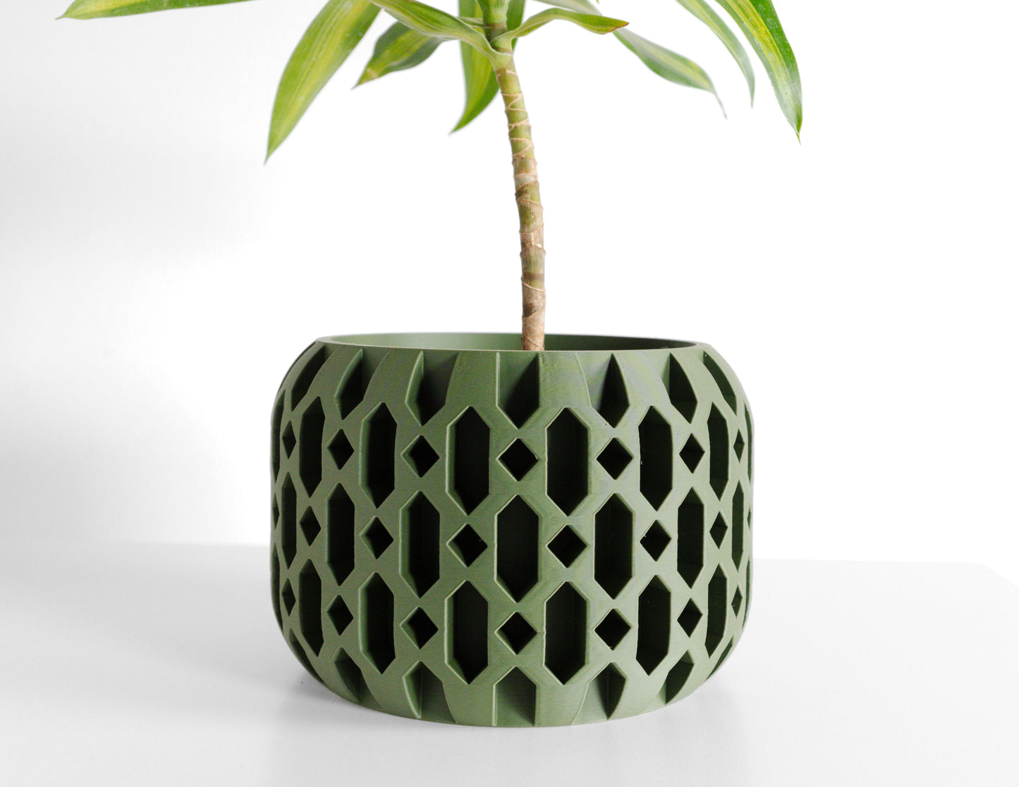 Succulent Planter, Architectural Desk Organizer, Indoor Herb Container, Modern Accent