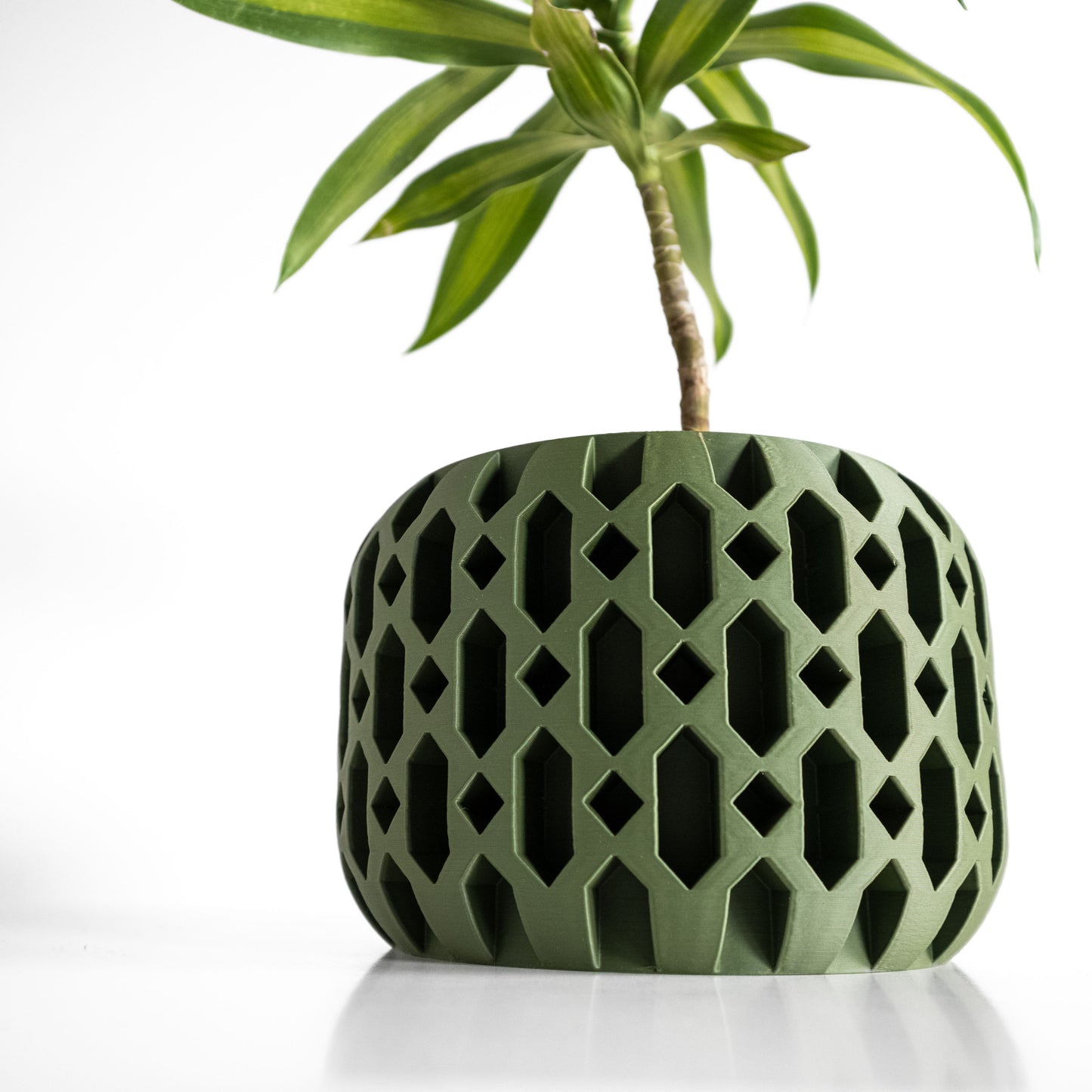 Succulent Planter, Architectural Desk Organizer, Indoor Herb Container, Modern Accent