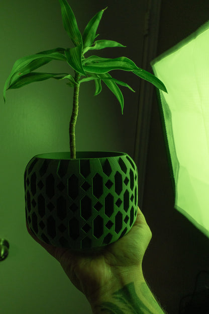 Succulent Planter, Architectural Desk Organizer, Indoor Herb Container, Modern Accent