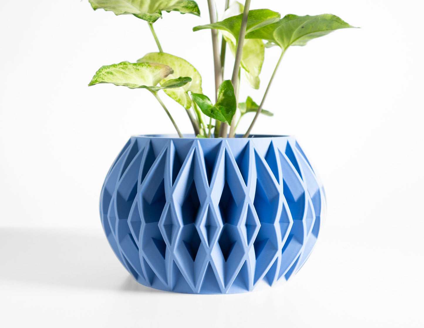 Indoor Planter, Succulent Organizer, Sculptural Desktop Pot, Modern Herb Container