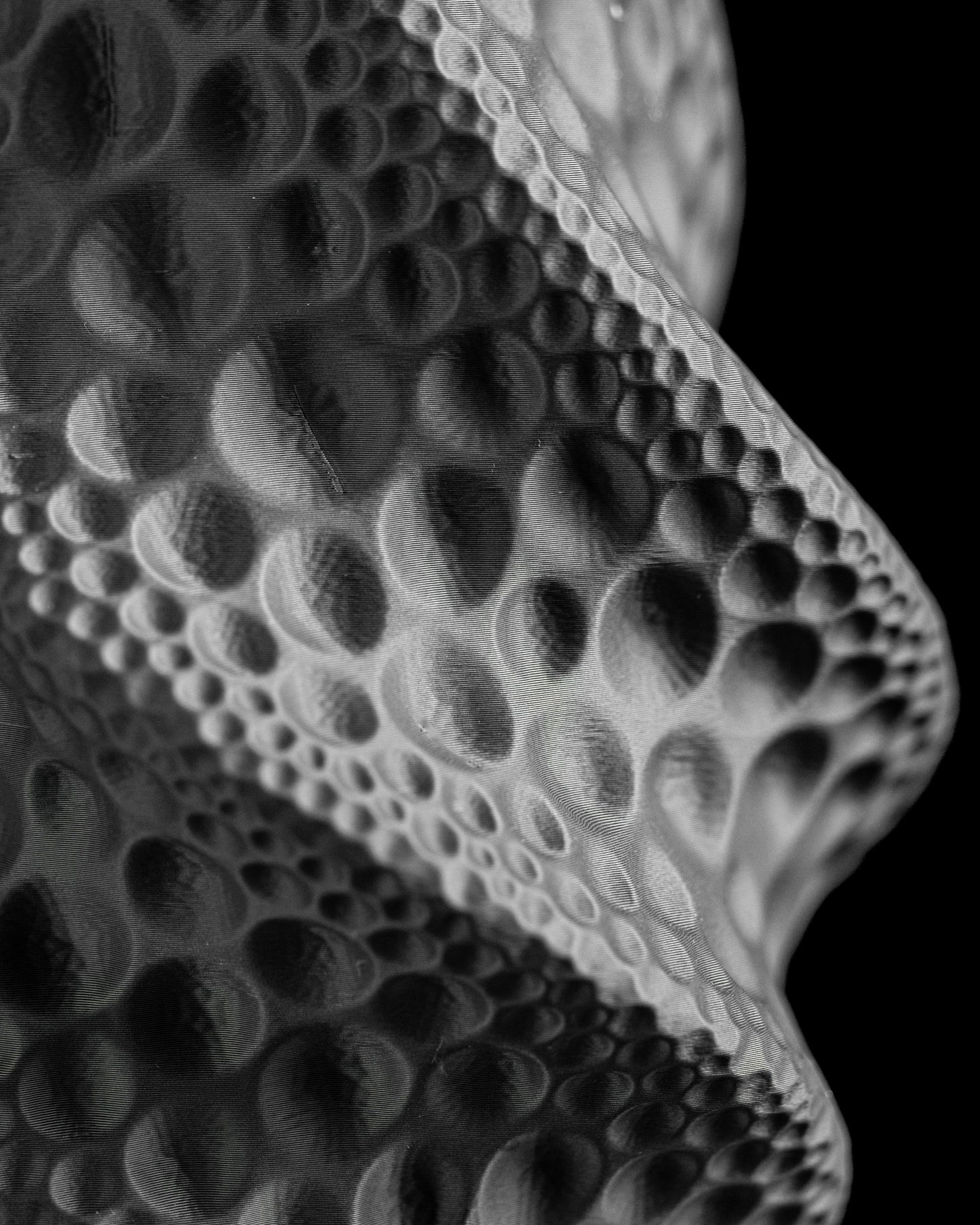 Moon Vase, Modern Tabletop Flower Holder, Mantel Accent, Ceramic Looked Piece, No Ordinary Decor