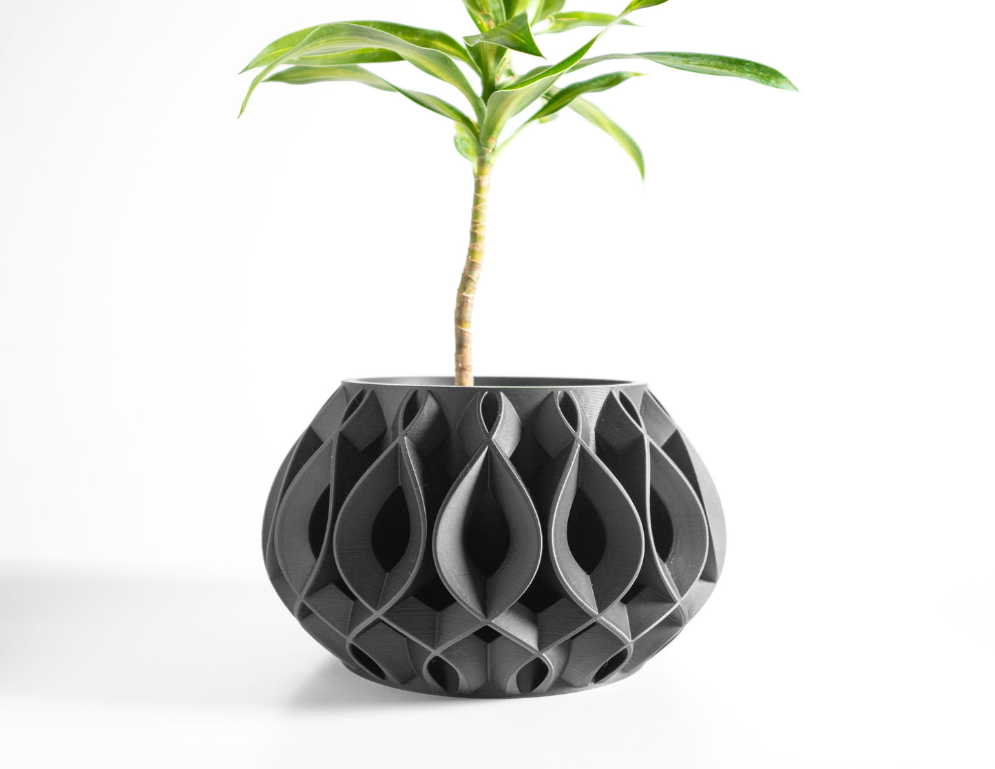 Plant Pot, Contemporary Desktop Planter, Succulent Holder, Indoor Herb Organizer