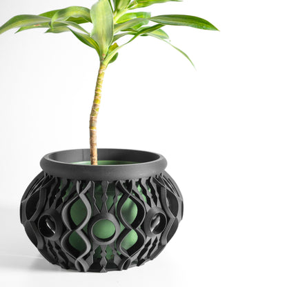 orchid planter, liner compatible windowsill organizer, ventilated airflow-promoting root-view balcony