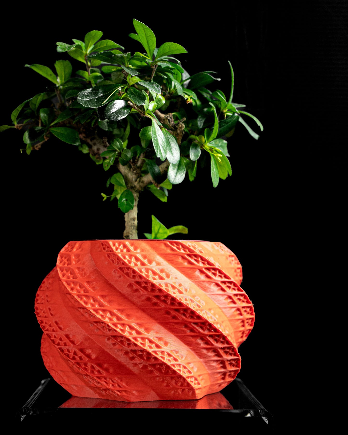 Planter Pot, Indoor Desk Organizer, Minimalist Contemporary Decorative Elegant Vessel