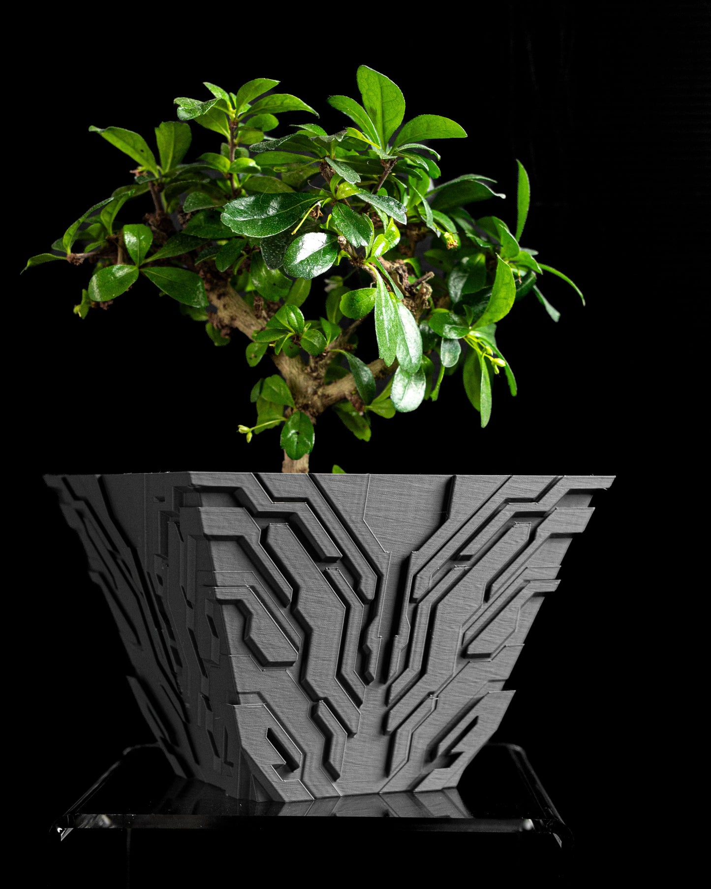 planter pot, indoor herb holder, desktop organizer, succulent accent, sculptural