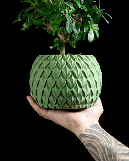 Contemporary Minimalist Planter Pot, Indoor Succulent Container, Desk Greenery Gift, Eco Terracotta Style