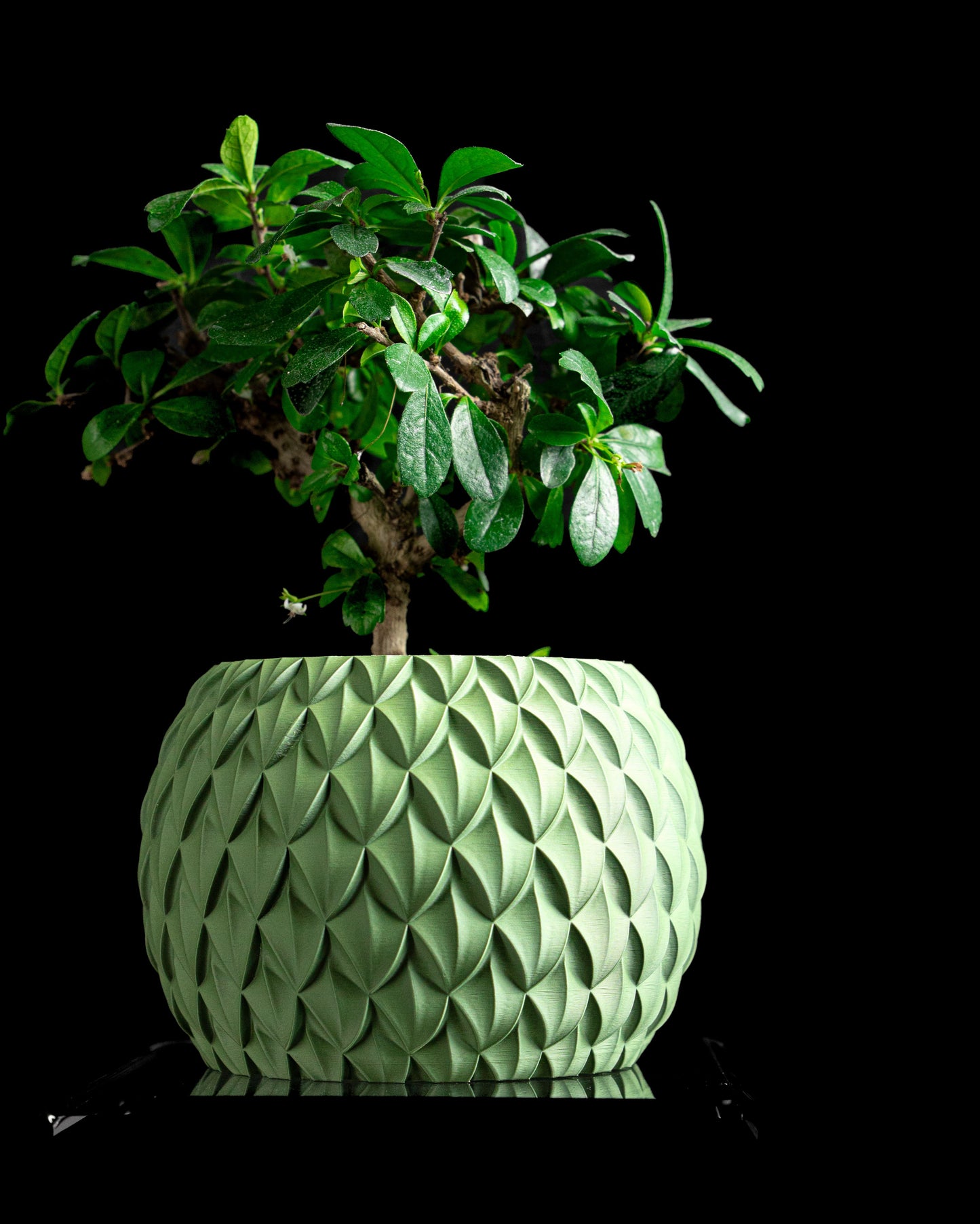 Contemporary Minimalist Planter Pot, Indoor Succulent Container, Desk Greenery Gift, Eco Terracotta Style