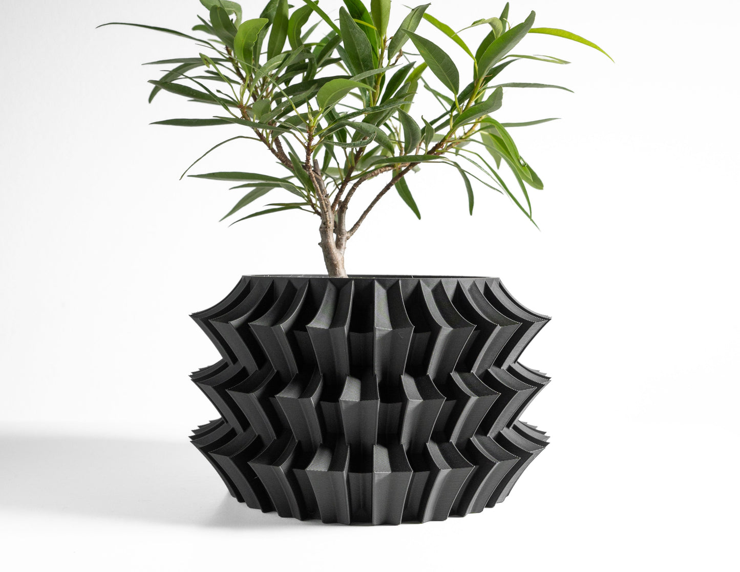 Cacti Planter, Indoor Plant Vessel, Succulent Holder, Modern Desk Accent, Bedside Table Decor, Stylish