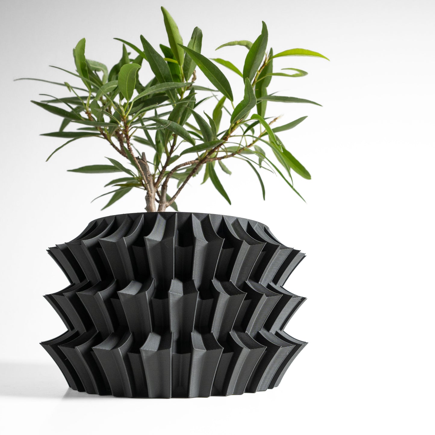 Cacti Planter, Indoor Plant Vessel, Succulent Holder, Modern Desk Accent, Bedside Table Decor, Stylish