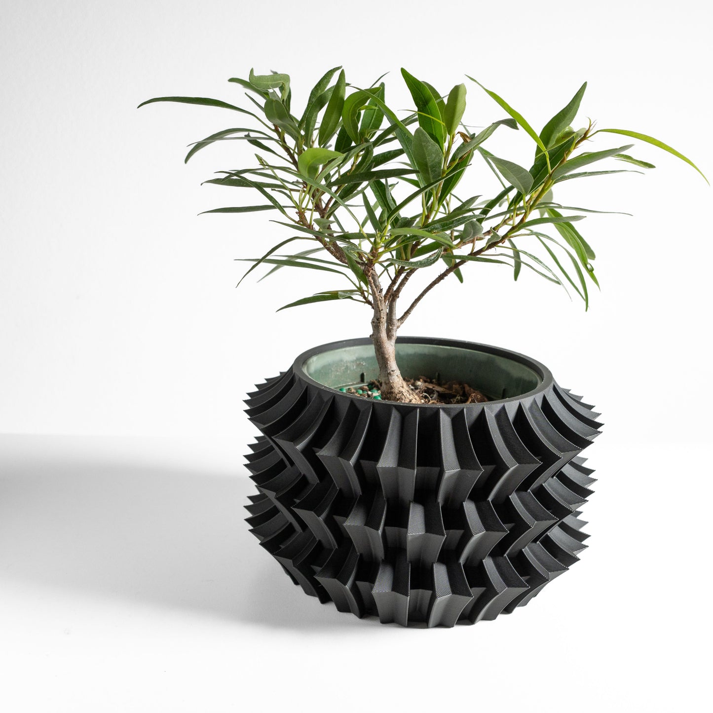 Cacti Planter, Indoor Plant Vessel, Succulent Holder, Modern Desk Accent, Bedside Table Decor, Stylish