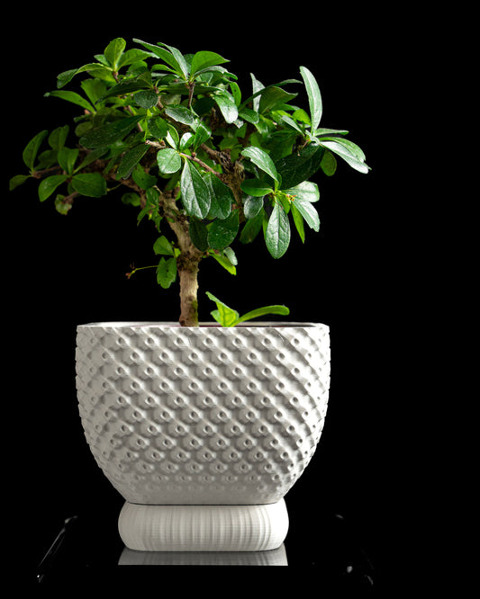 Planter Pot, Geometric Succulent Holder, Modern Minimalist Desktop Shelf Display