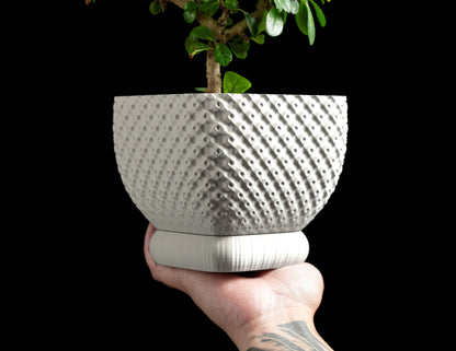 Planter Pot, Geometric Succulent Holder, Modern Minimalist Desktop Shelf Display