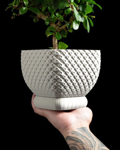 Planter Pot, Geometric Succulent Holder, Modern Minimalist Desktop Shelf Display