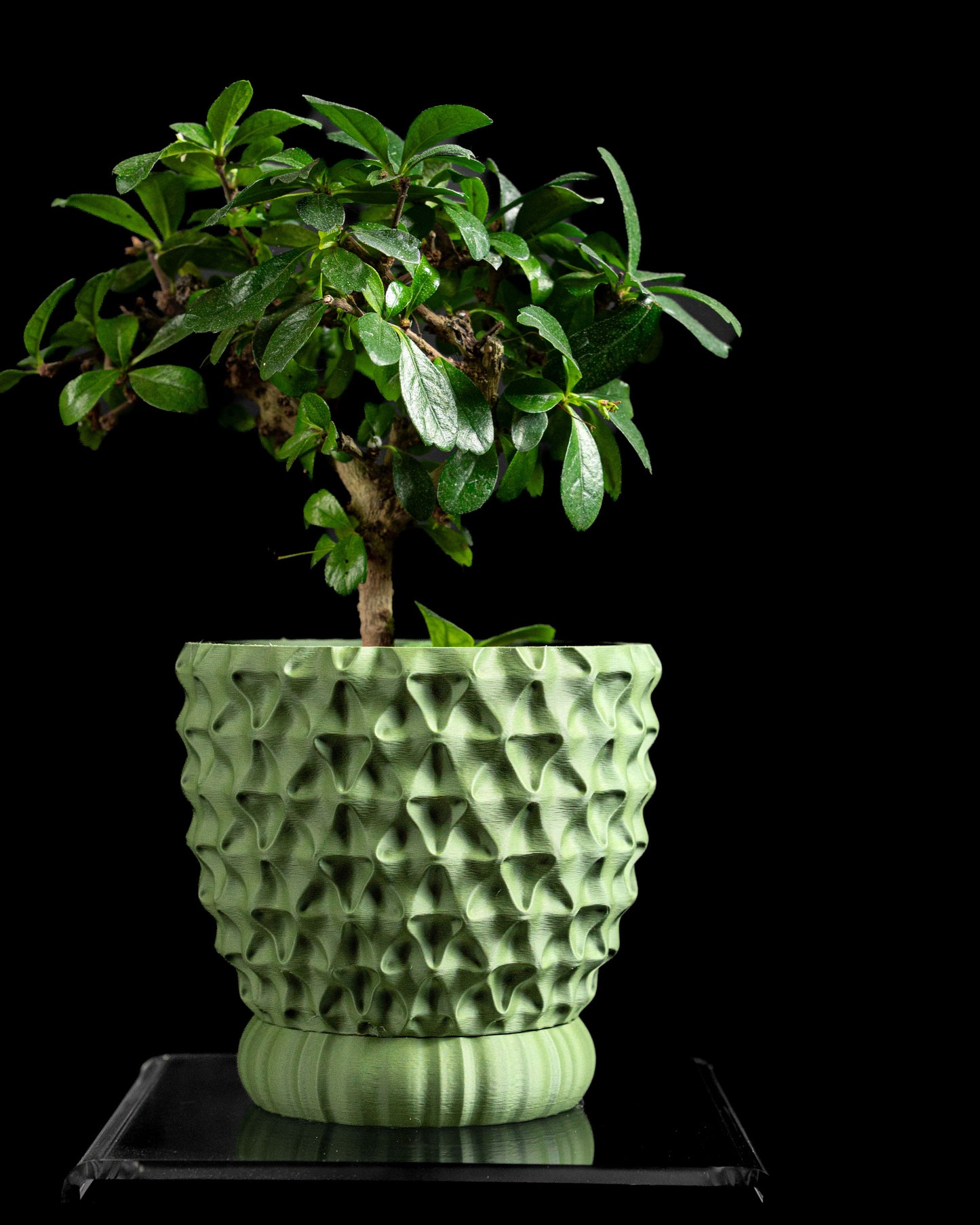 Planter pot, multifunctional herb organizer, indoor succulent container, workspace accent