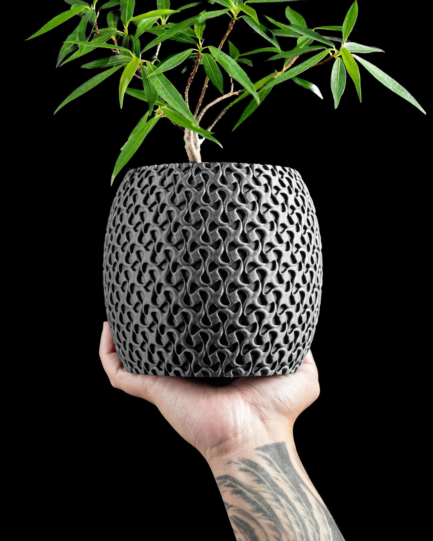 Succulent Planter, Minimalist Ring Display, Modern Desk Organizer White Matte, Elegant