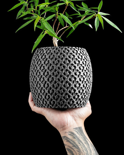 Succulent Planter, Minimalist Ring Display, Modern Desk Organizer White Matte, Elegant