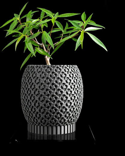 Succulent Planter, Minimalist Ring Display, Modern Desk Organizer White Matte, Elegant