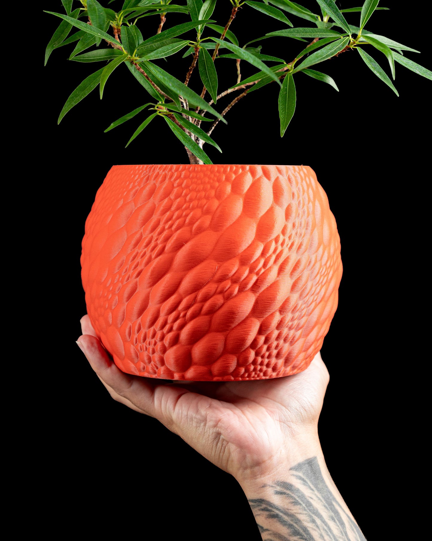 Planter Pot Minimalist Contemporary Indoor Succulent Plant Holder Decorative Accent, Scandinavian Look , Boho