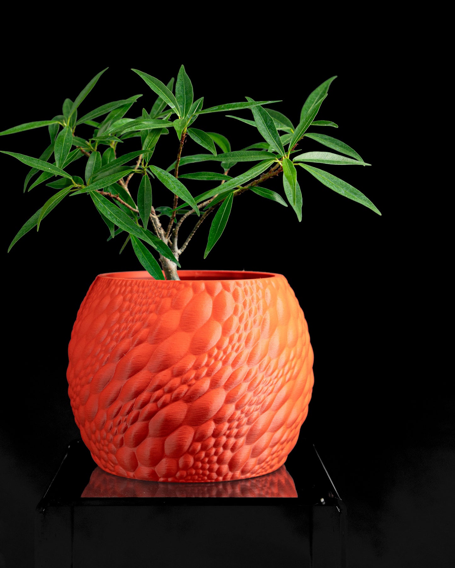 Planter Pot Minimalist Contemporary Indoor Succulent Plant Holder Decorative Accent, Scandinavian Look , Boho