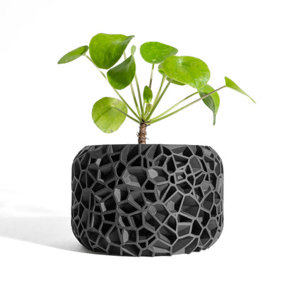 Planter Pot, Modern Herb Vessel, Bamboo, Cactus or Aloe, Indoor Bonsai Jungle Planter