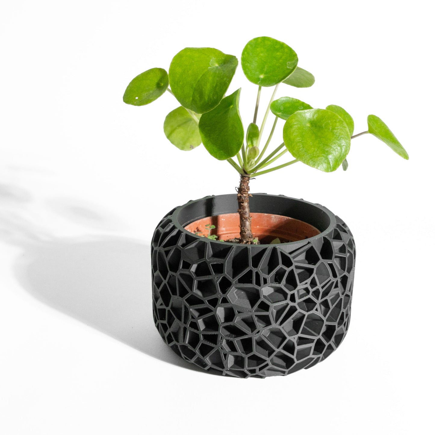 Planter Pot, Modern Herb Vessel, Bamboo, Cactus or Aloe, Indoor Bonsai Jungle Planter