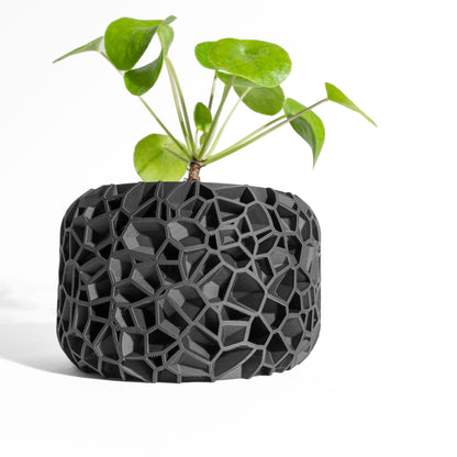 Planter Pot, Modern Herb Vessel, Bamboo, Cactus or Aloe, Indoor Bonsai Jungle Planter