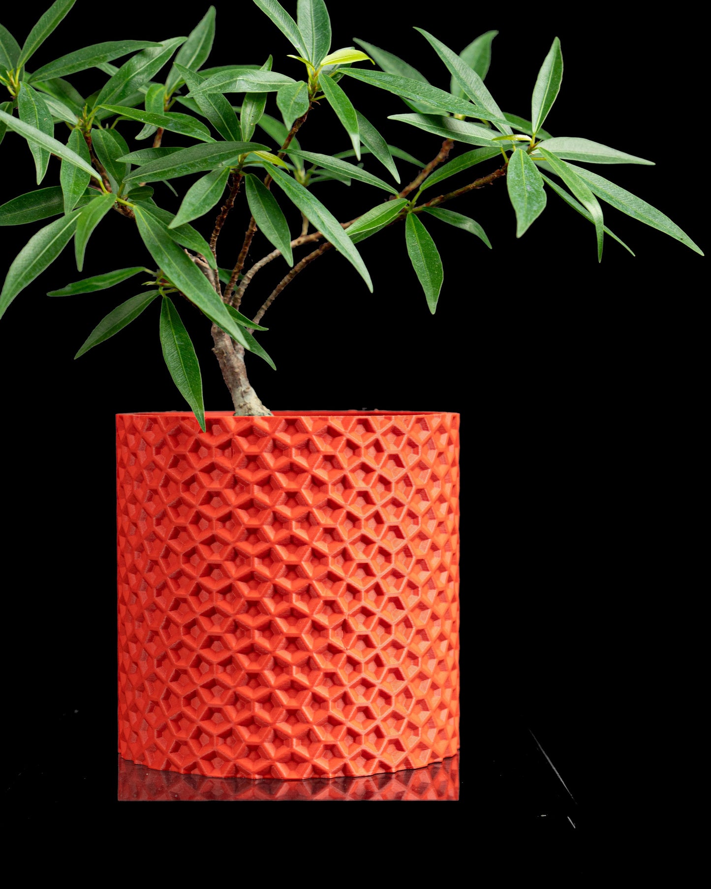 Minimalist Planter Pot, Architectural Succulent Holder, Nordic Organizer, Sculptural Accent