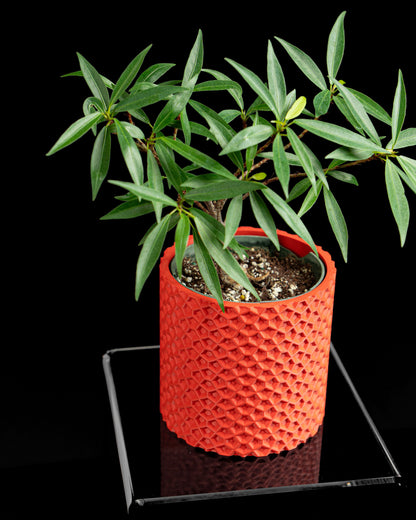 Minimalist Planter Pot, Architectural Succulent Holder, Nordic Organizer, Sculptural Accent