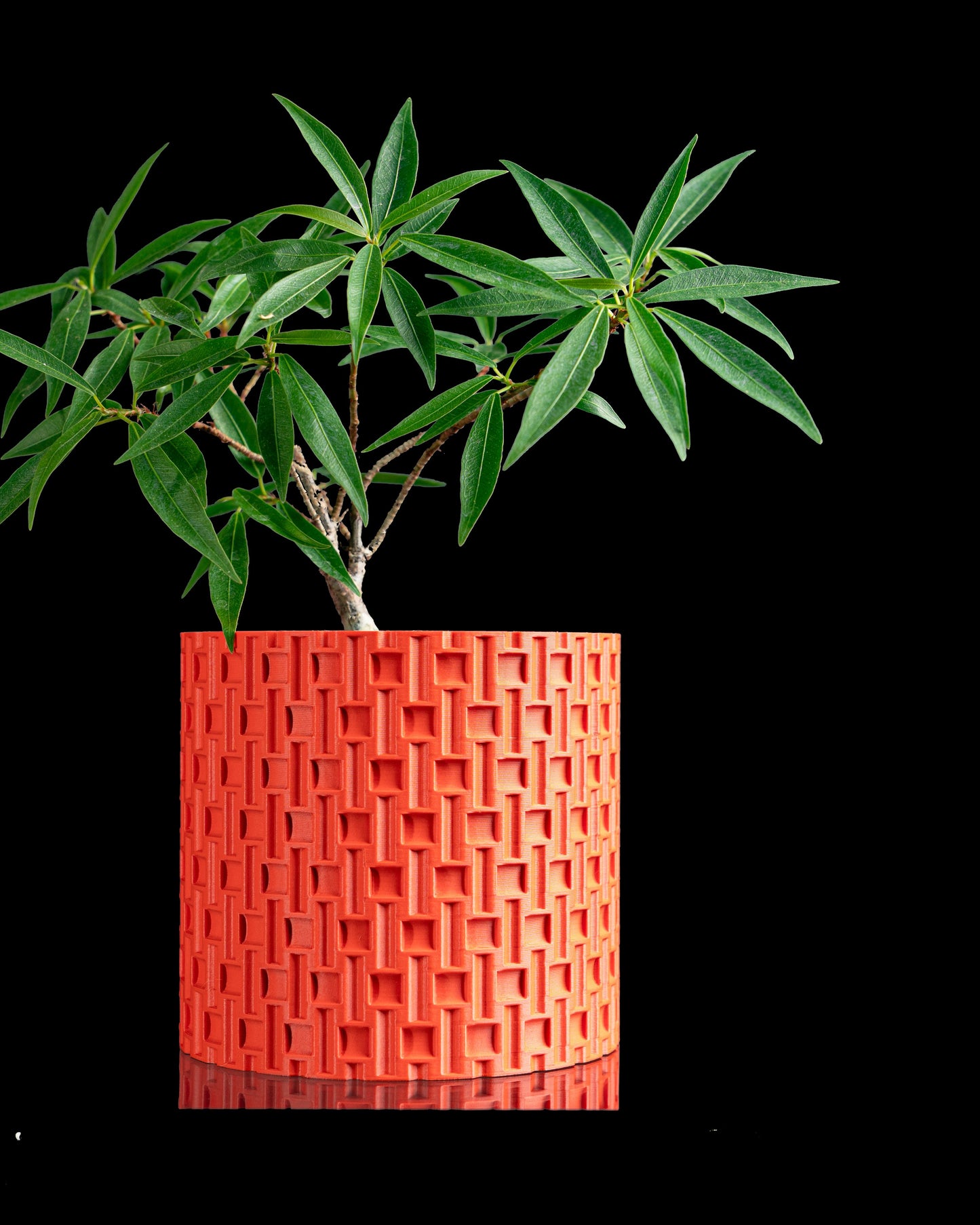 Planter Pot, Japandi Sculptural Succulent Holder, Modern Desk Organizer, Minimalist