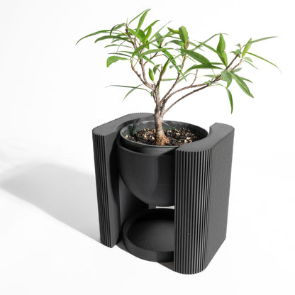 Planter Pot, Midcentury Organic Shelf Decor, Succulent Holder, Desktop Organizer